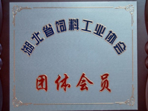 湖北省工業(yè)協(xié)會(huì)團(tuán)體會(huì)員.jpg